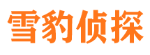 峡江市私家侦探公司